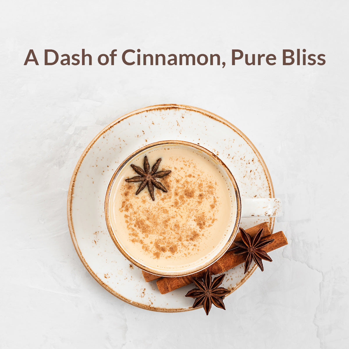 Kerala Mountain Cinnamon Powder 454g (16 oz) - Eupherbia
