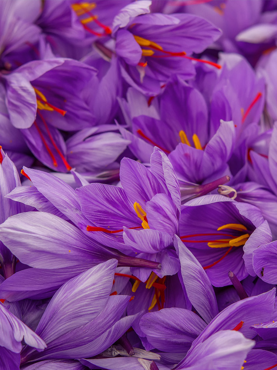 Saffron for PMS and Mood: What the Research Actually Shows