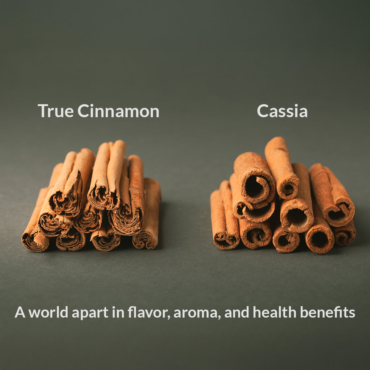Kerala Mountain Cinnamon Powder 454g (16 oz) - Eupherbia