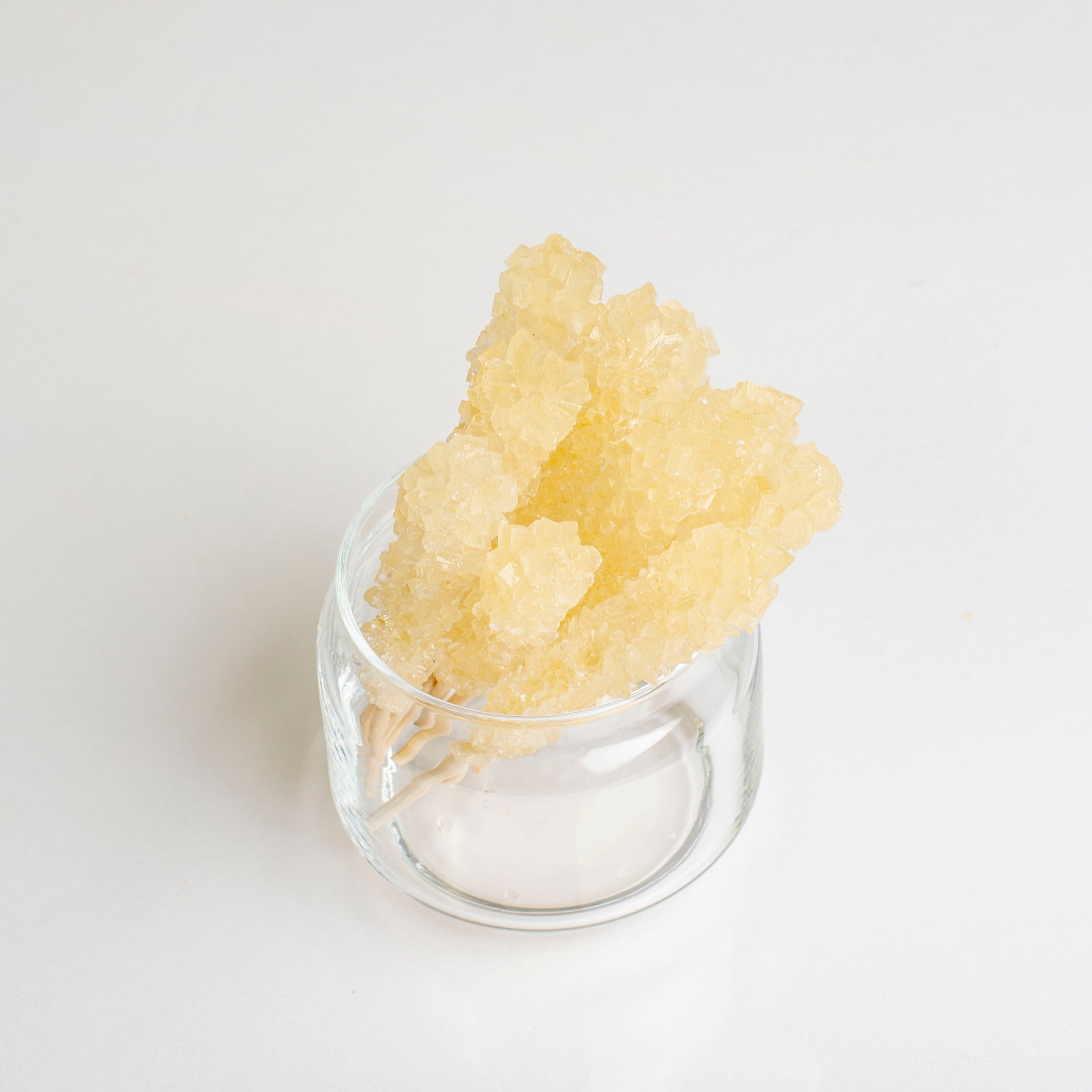 Rock Candy Sticks Bulk 300 Pack - Eupherbia